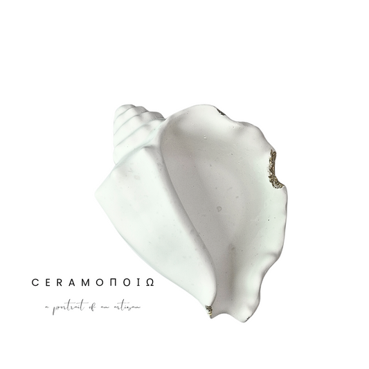 Seashell Jewelry Holder