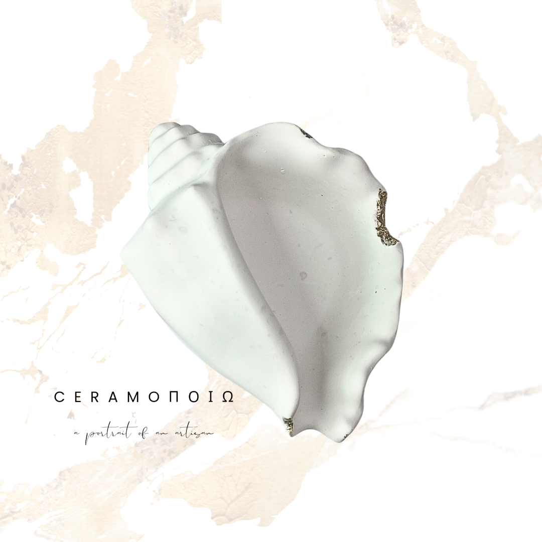 Seashell Jewelry Holder