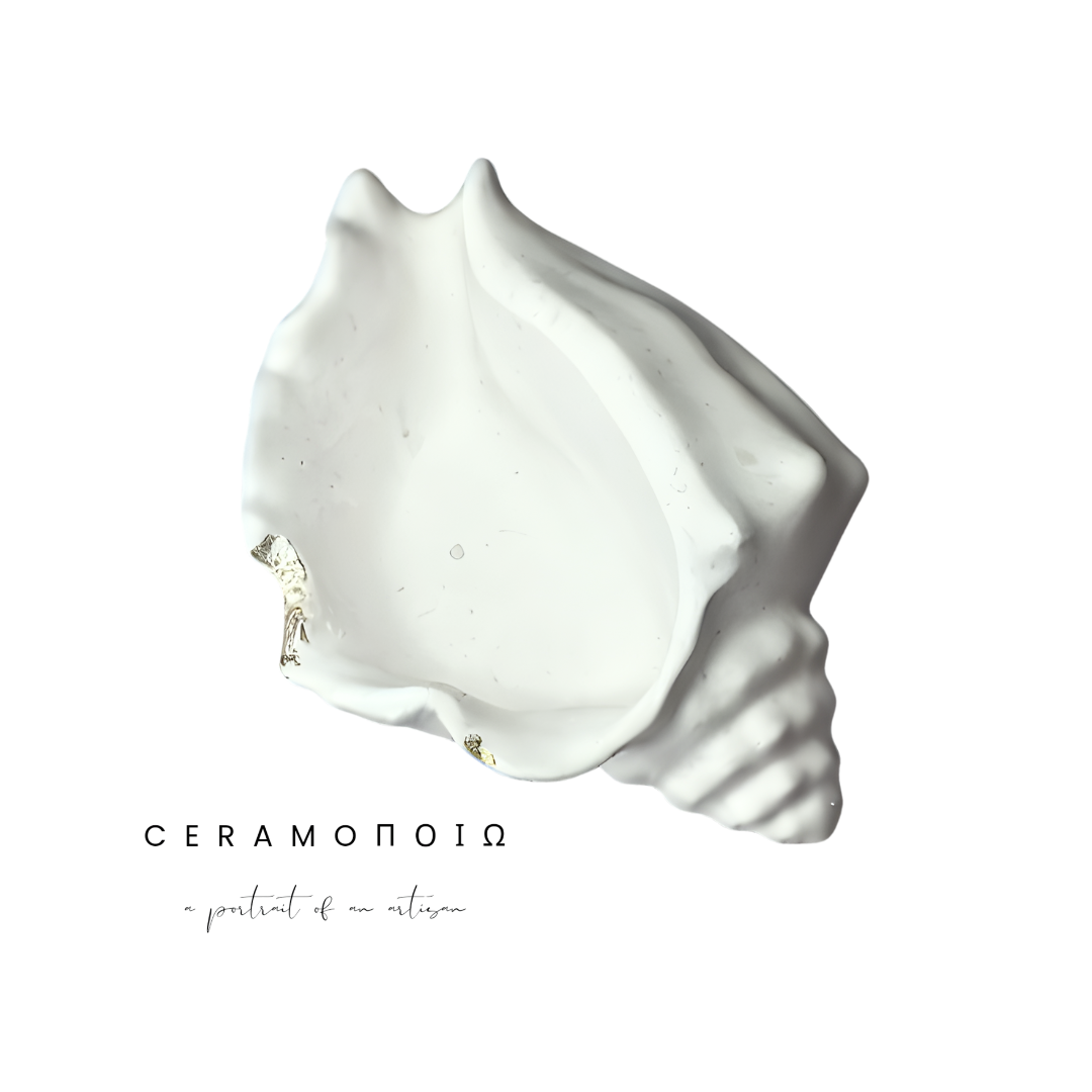 Seashell Jewelry Holder